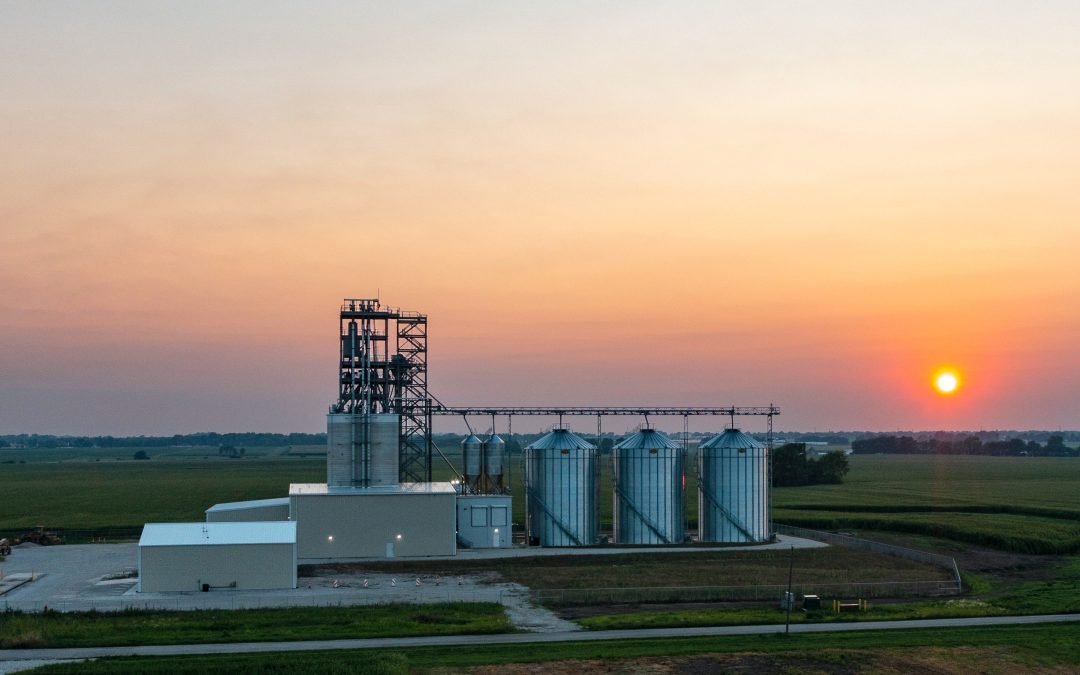 How FeedSafeNZ Ensures Quality Standards For NZ Animal Feed