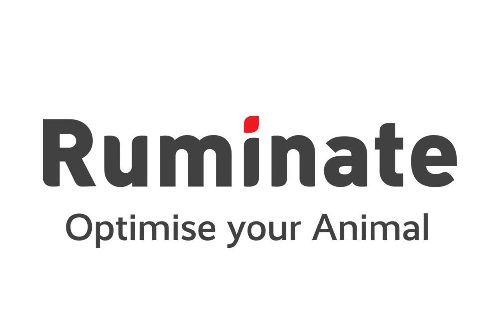 Ruminate