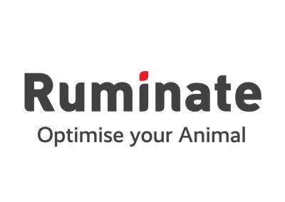Ruminate