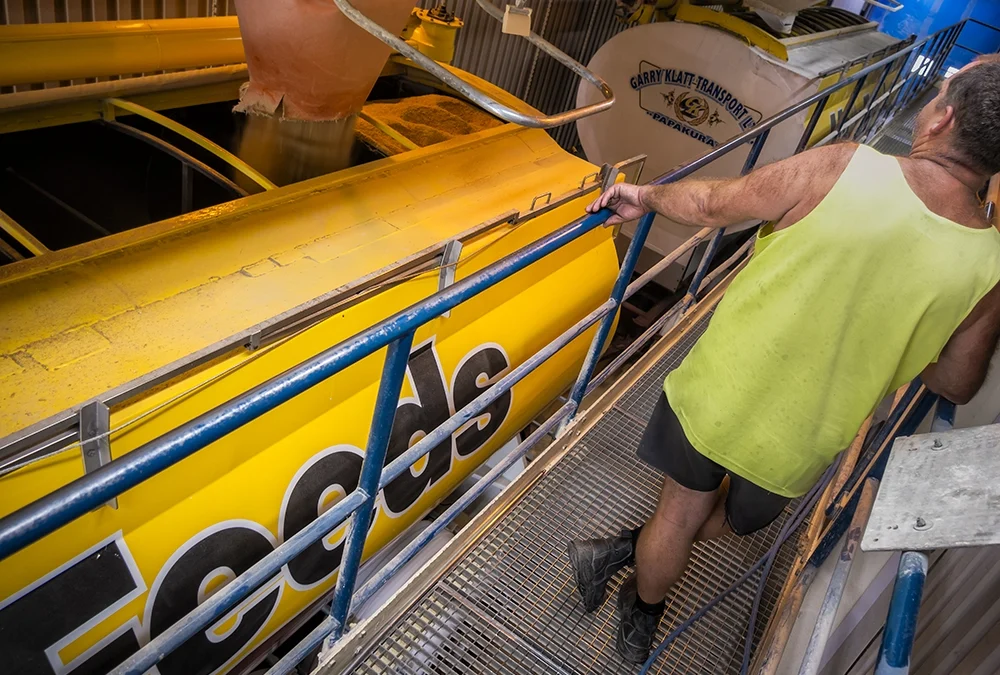 From feed mill to plate – investing in the future of New Zealand livestock success