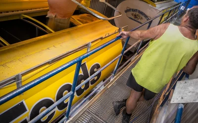 From feed mill to plate – investing in the future of New Zealand livestock success
